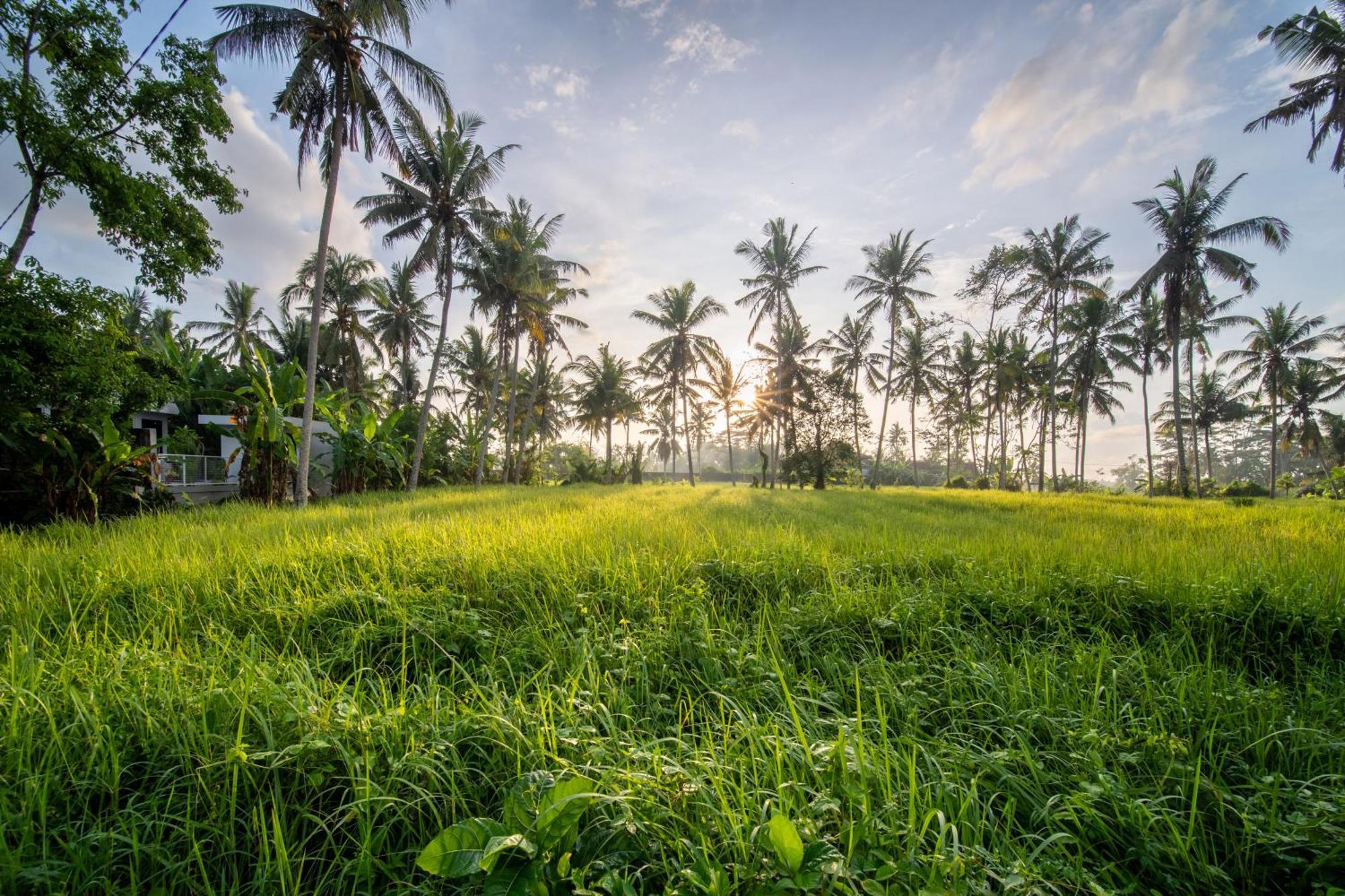Casa Estrella - Luxe In Ubud ภายนอก รูปภาพ